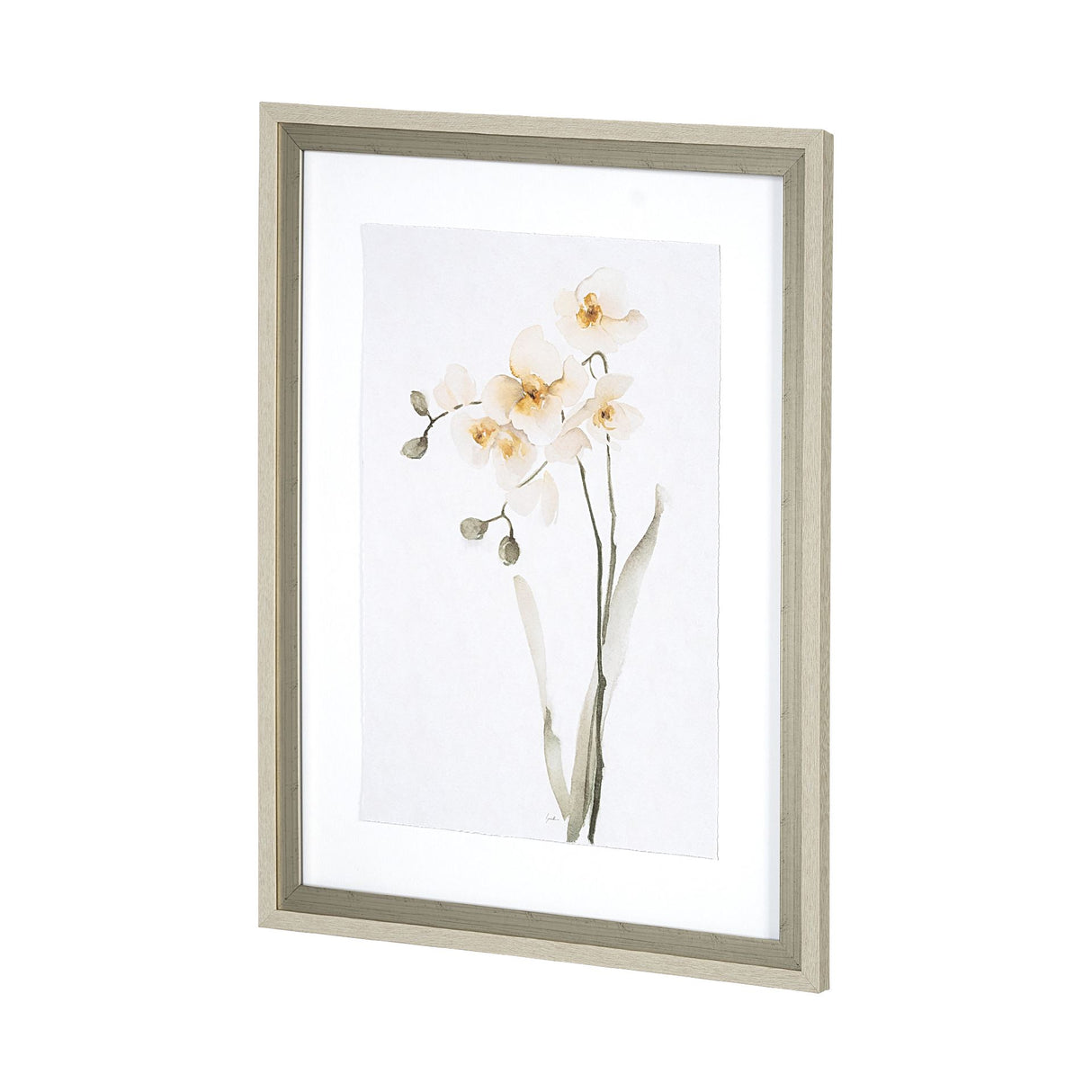 Orchid II by Gabrielle Campbell a Framed Art Print Matted under Glass from Mercana - Luna Furniture