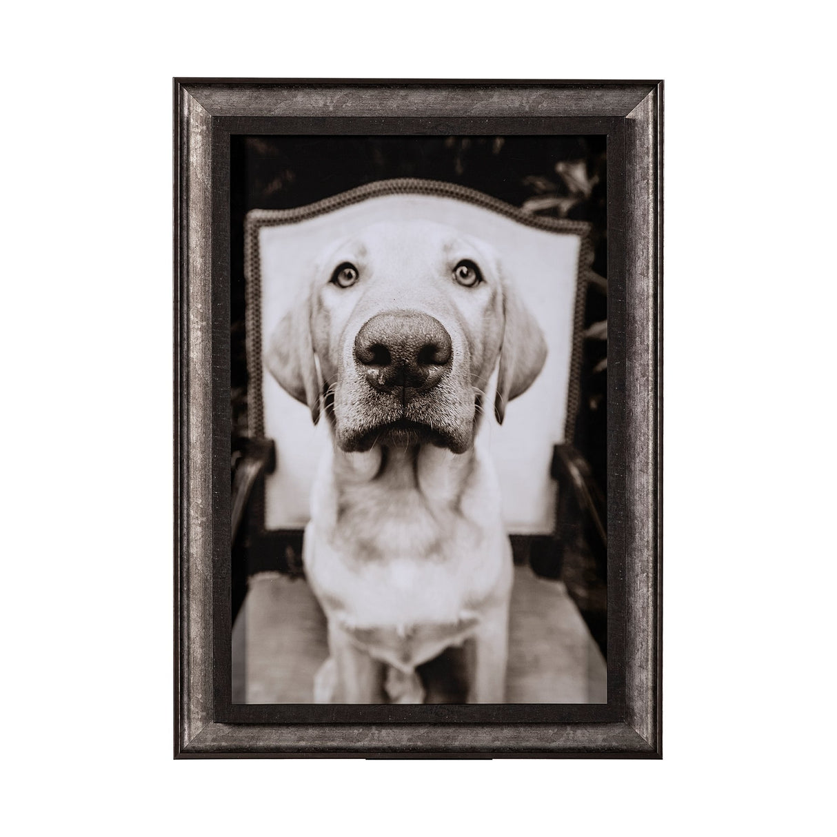 Sitting by Jim Drafield a Hand Embellished Textured Framed Photo Art Print from Mercana - Luna Furniture