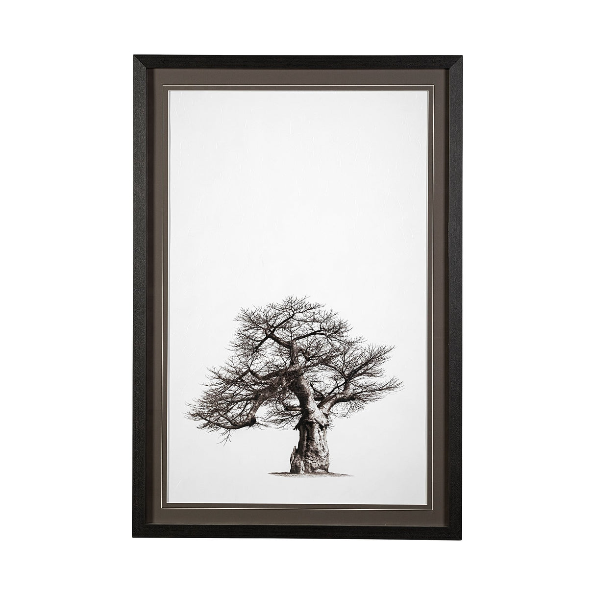 Boabab Tree I by Tiedge a Framed Art Print Matted under Glass from Mercana - Luna Furniture