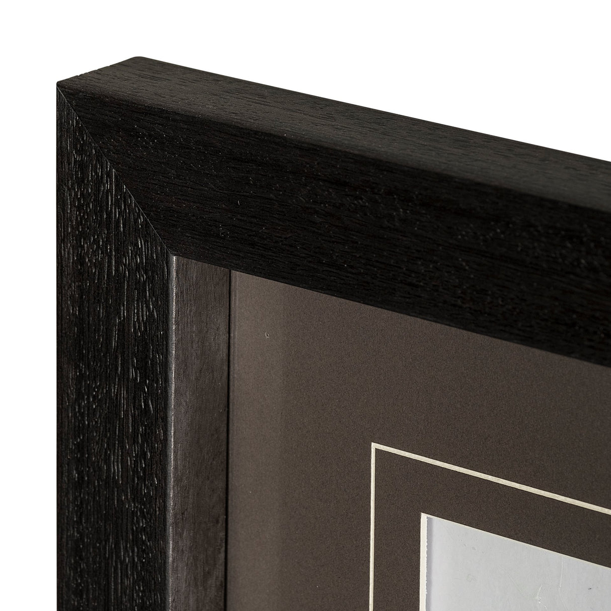 Boabab Tree I by Tiedge a Framed Art Print Matted under Glass from Mercana - Luna Furniture