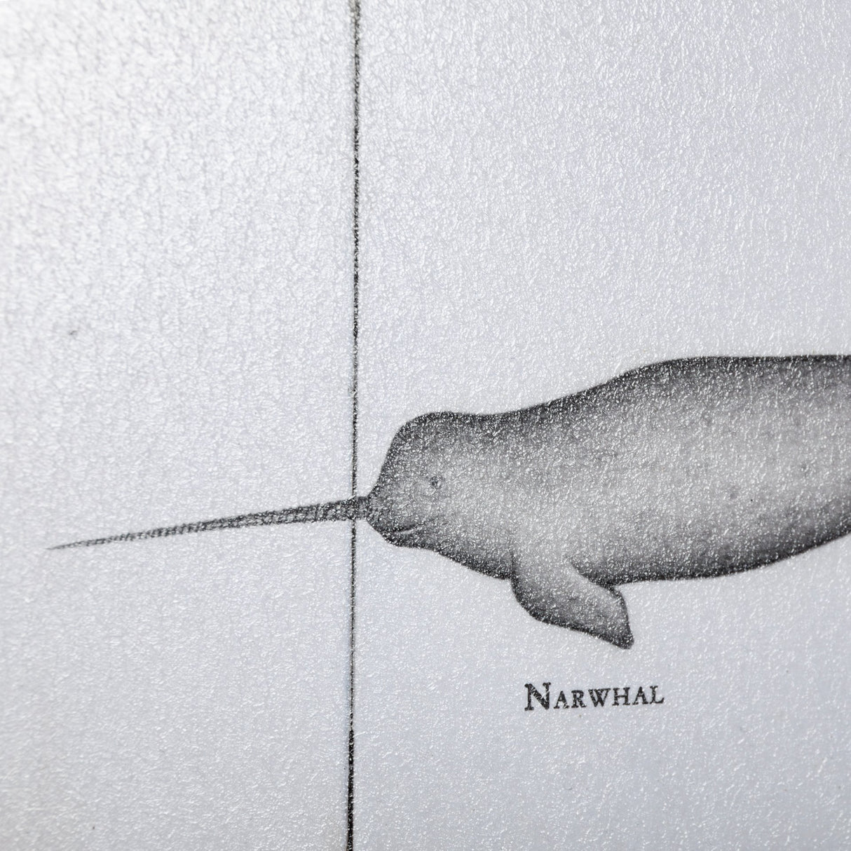 Narwhal by Mercana Studio a Hand Embellished Textured Framed Art Print from Mercana - Luna Furniture
