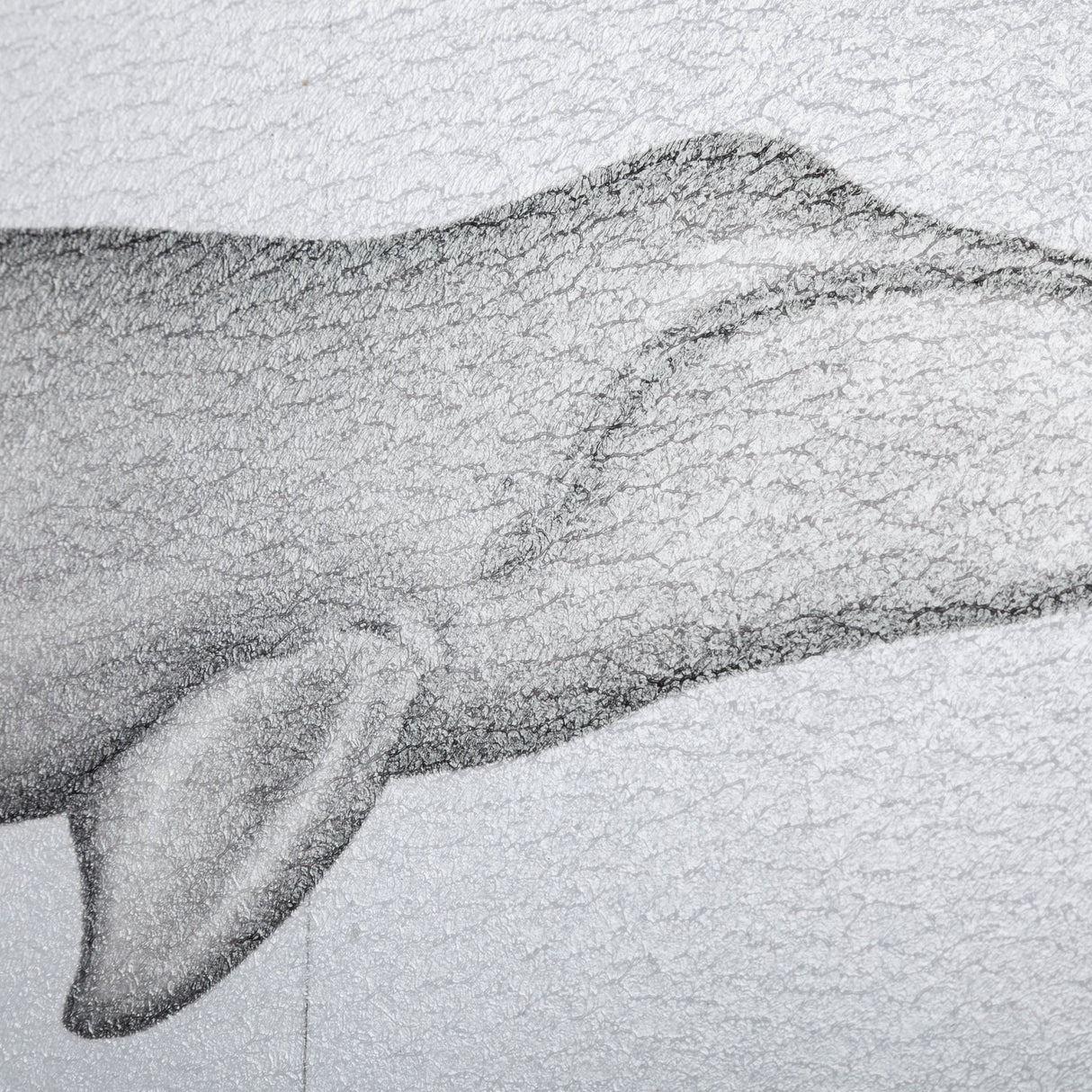 Bowhead Whale by Mercana Studio a Hand Embellished Textured Framed Art Print from Mercana - Luna Furniture