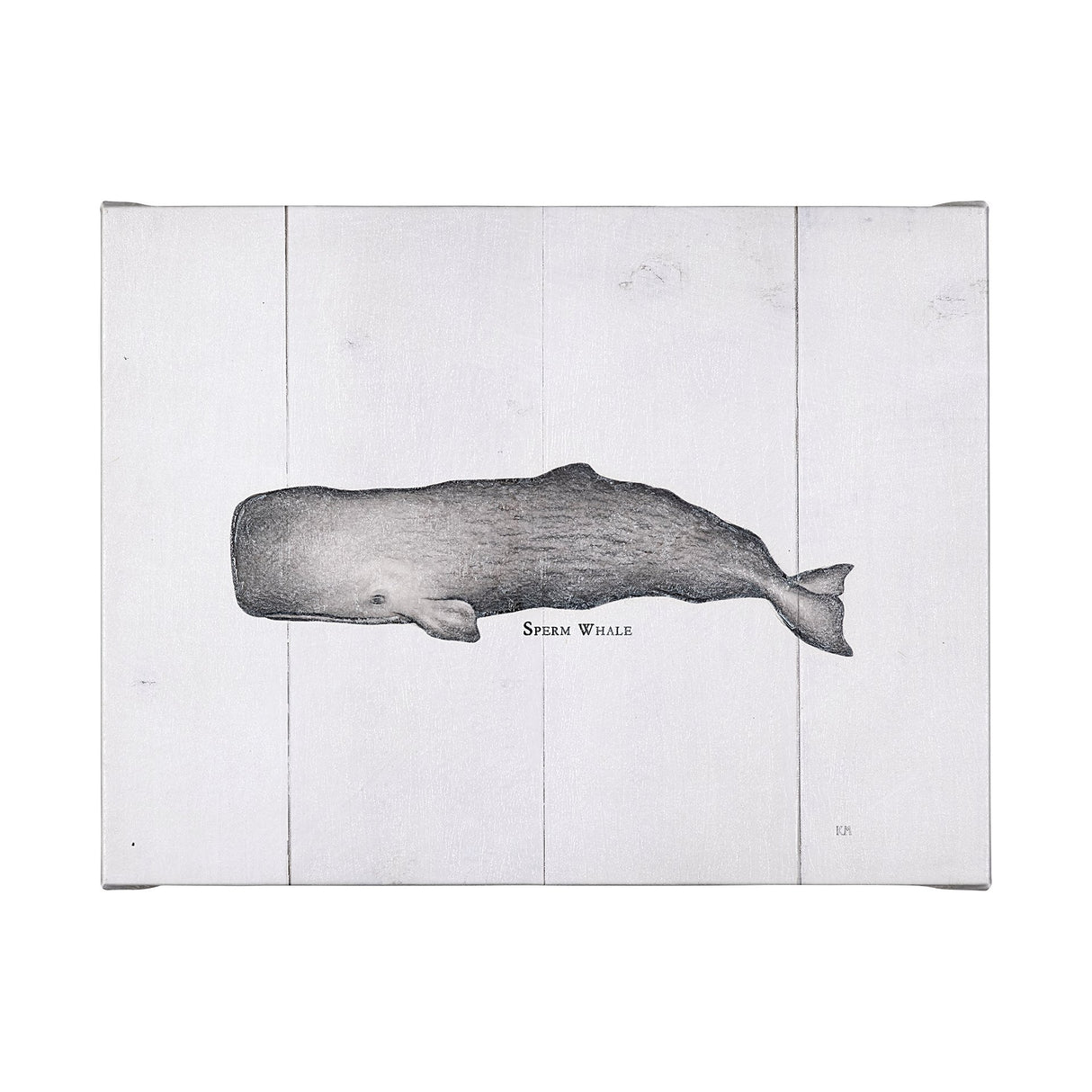 Sperm Whale by Mercana Studio a Hand Embellished Textured Canvas from Mercana - Luna Furniture