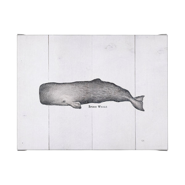 Sperm Whale by Mercana Studio a Hand Embellished Textured Canvas