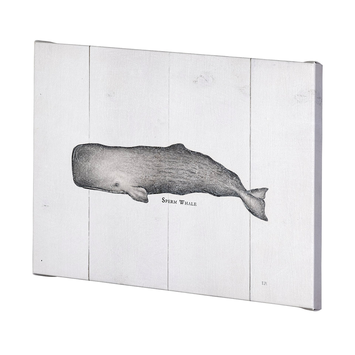 Sperm Whale by Mercana Studio a Hand Embellished Textured Canvas from Mercana - Luna Furniture