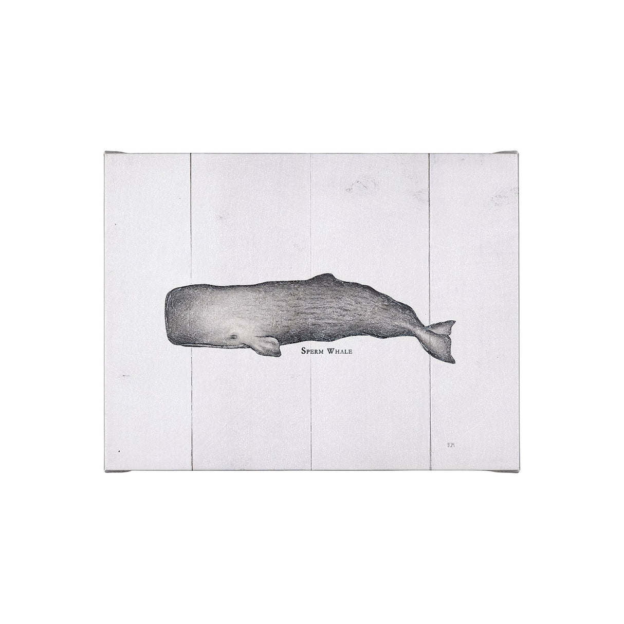 Sperm Whale by Mercana Studio a Hand Embellished Textured Canvas from Mercana - Luna Furniture