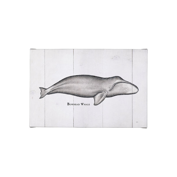 Bowhead Whale by Mercana Studio a Hand Embellished Textured Canvas