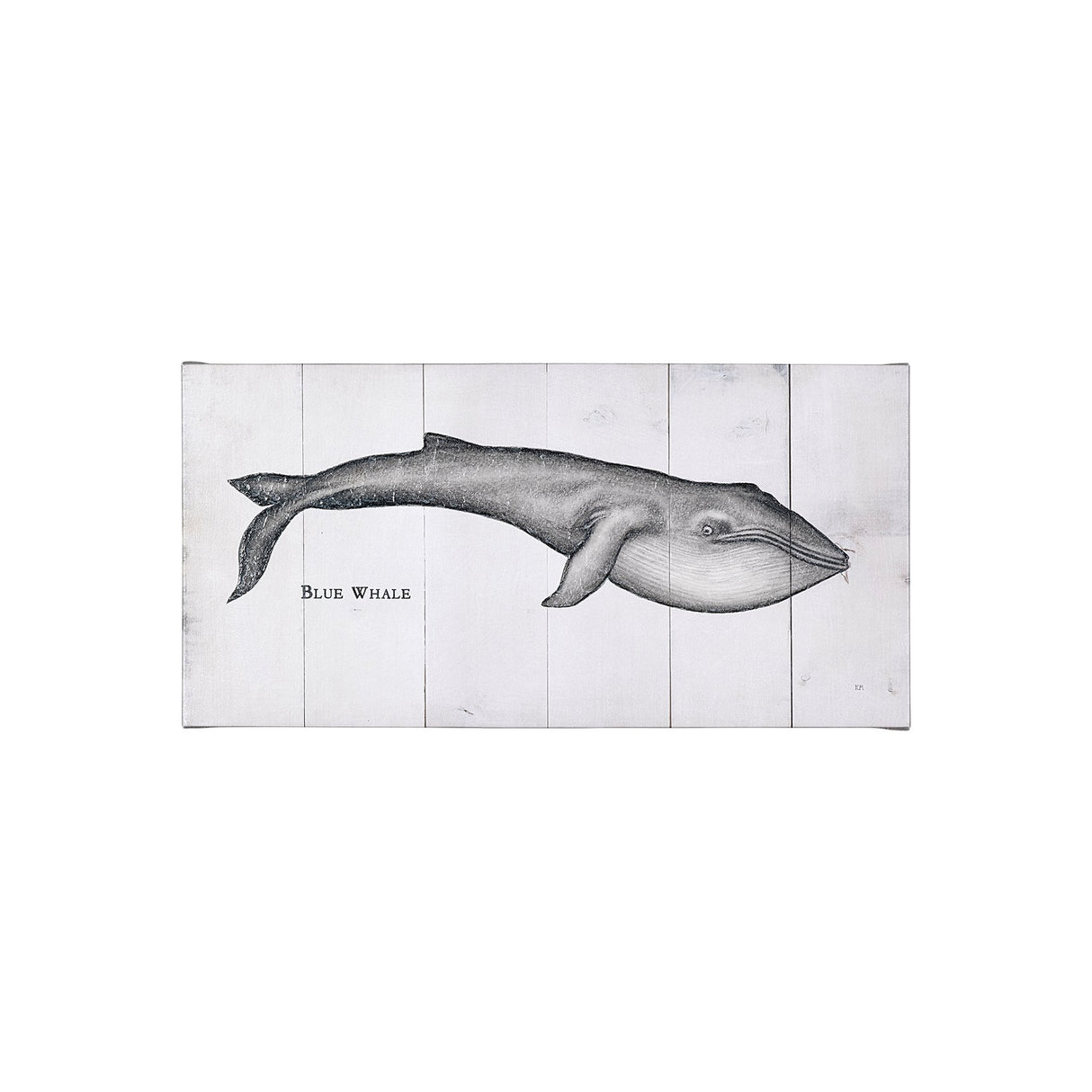 Blue Whale by Mercana Studio a Hand Embellished Textured Canvas from Mercana - Luna Furniture