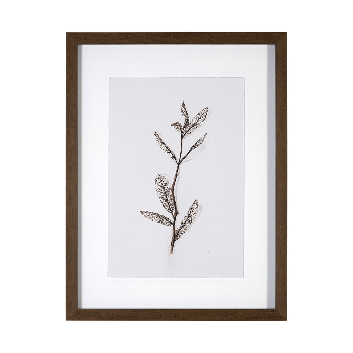 Olive Branch I by Gabrielle a Framed Art Print Matted under Glass from Mercana - Luna Furniture