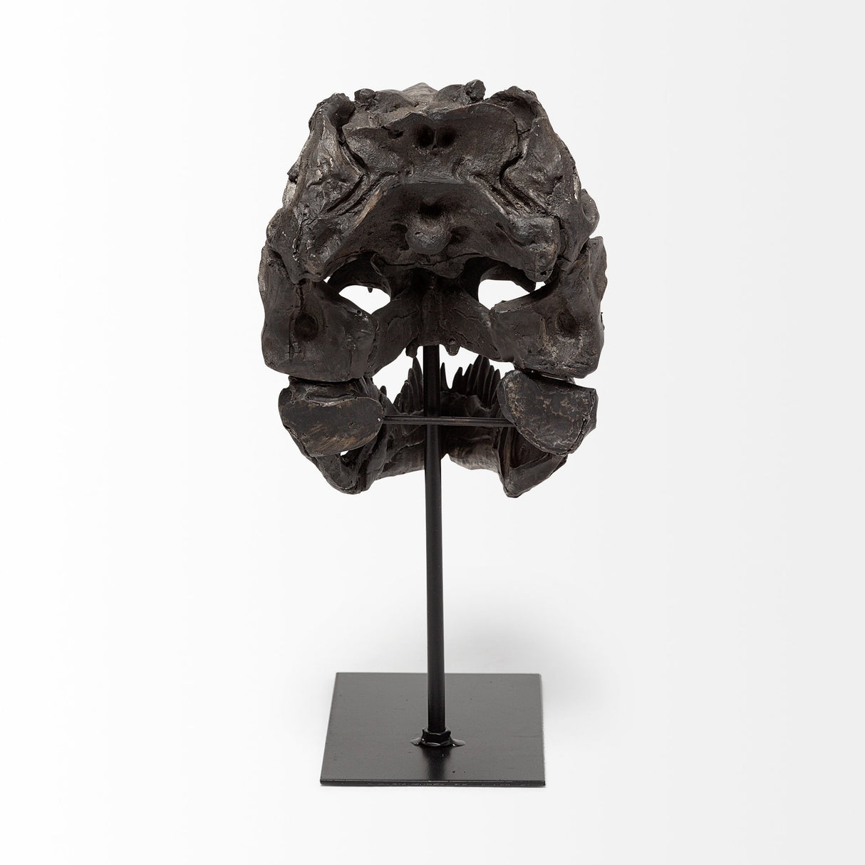 Jurassic 6L x 10W Brown Resin Tyrannosaurus Skull Replica from Mercana - Luna Furniture