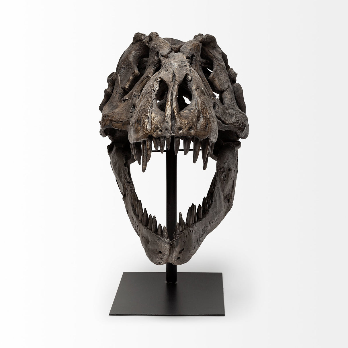 Lagrane 19L x 11W Brown Resin Tyrannosaurus T Rex Dinosaur Skull Replica from Mercana - Luna Furniture