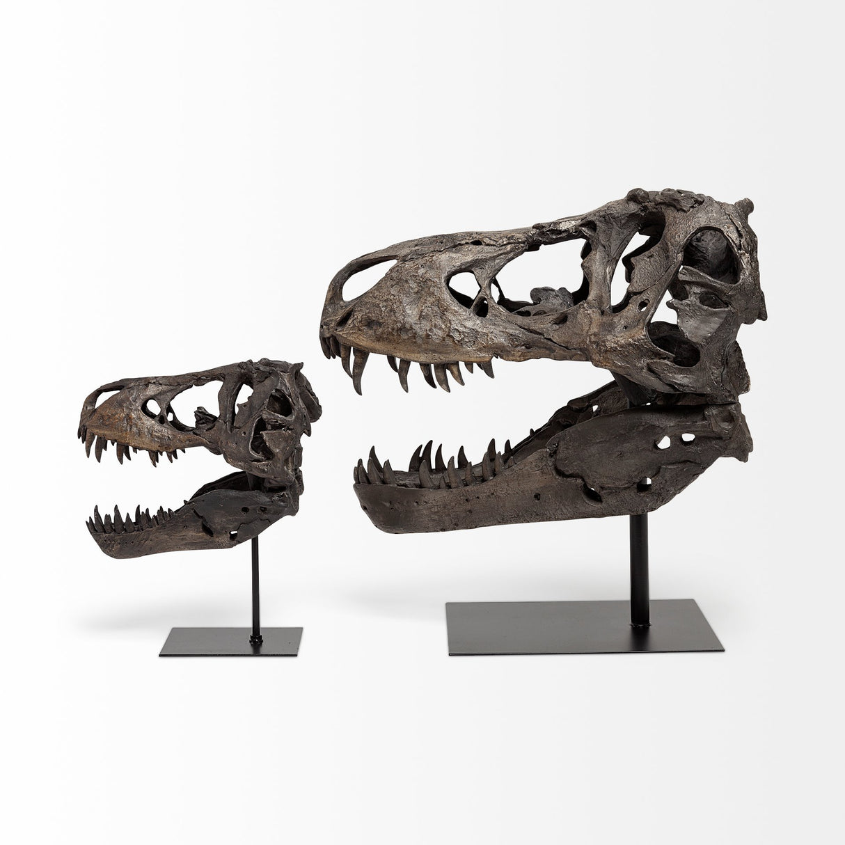 Jurassic 6L x 10W Brown Resin Tyrannosaurus Skull Replica from Mercana - Luna Furniture