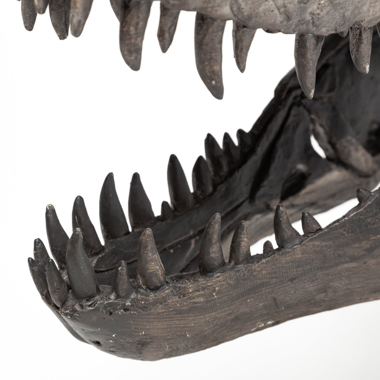 Jurassic 6L x 10W Brown Resin Tyrannosaurus Skull Replica from Mercana - Luna Furniture