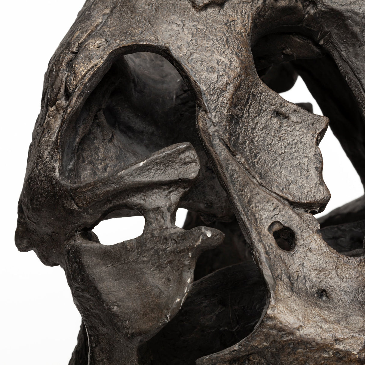 Lagrane 19L x 11W Brown Resin Tyrannosaurus T Rex Dinosaur Skull Replica from Mercana - Luna Furniture