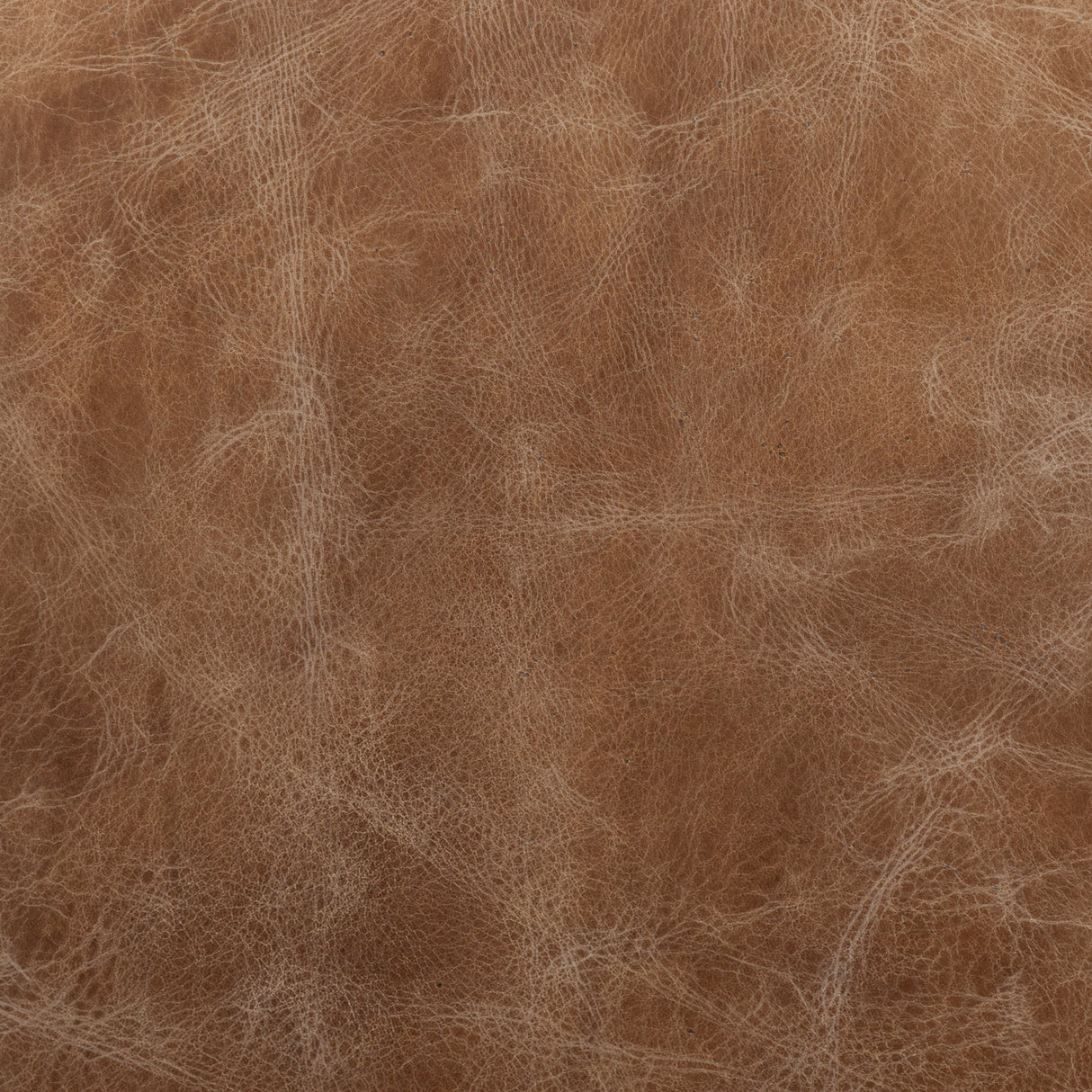 Cobain I 84" Brown Leather Two Seater Sofa from Mercana - Luna Furniture