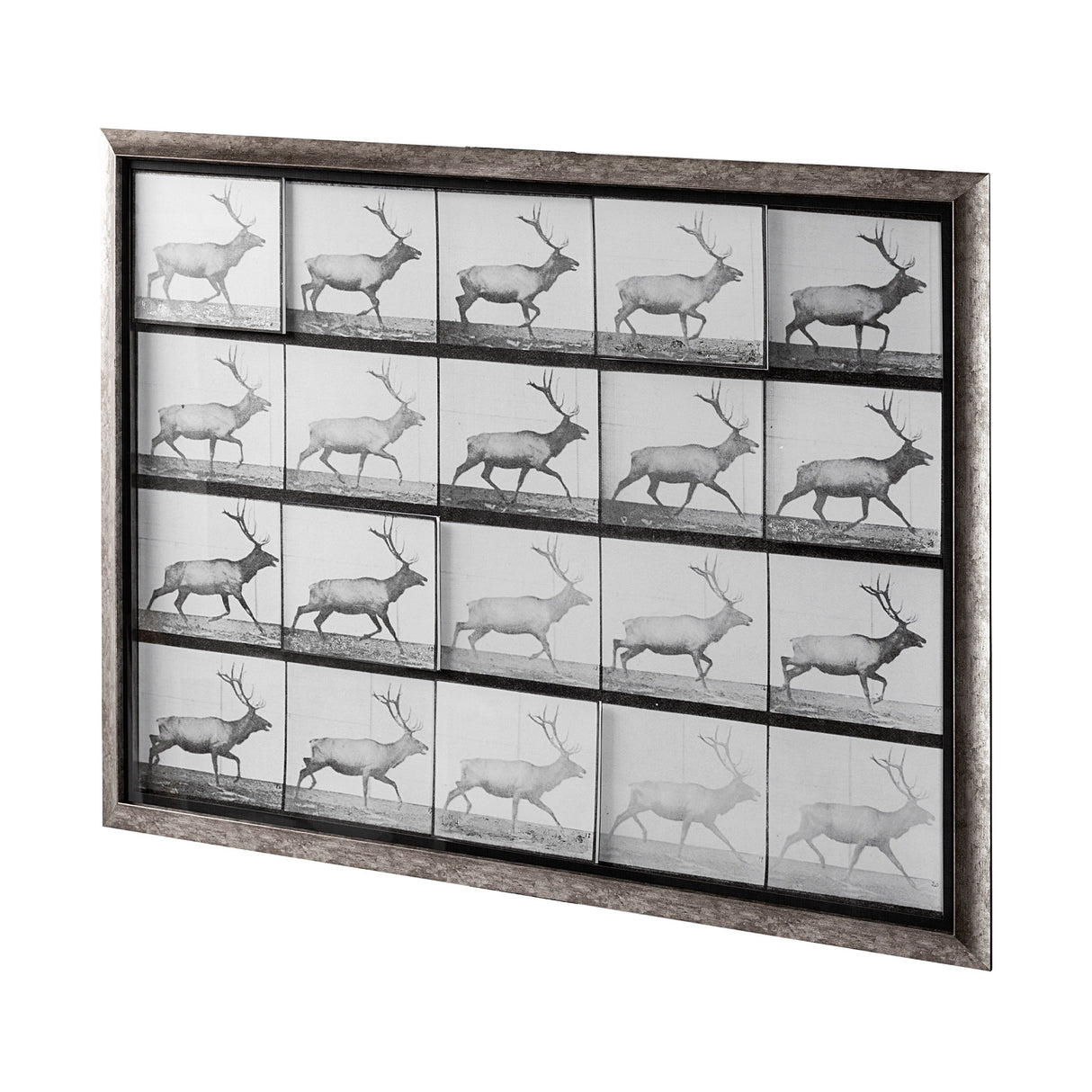 Elk Trotting by Eadweard Muybridge a Hand Embellished Textured Framed Art Print Matted under Glass from Mercana - Luna Furniture
