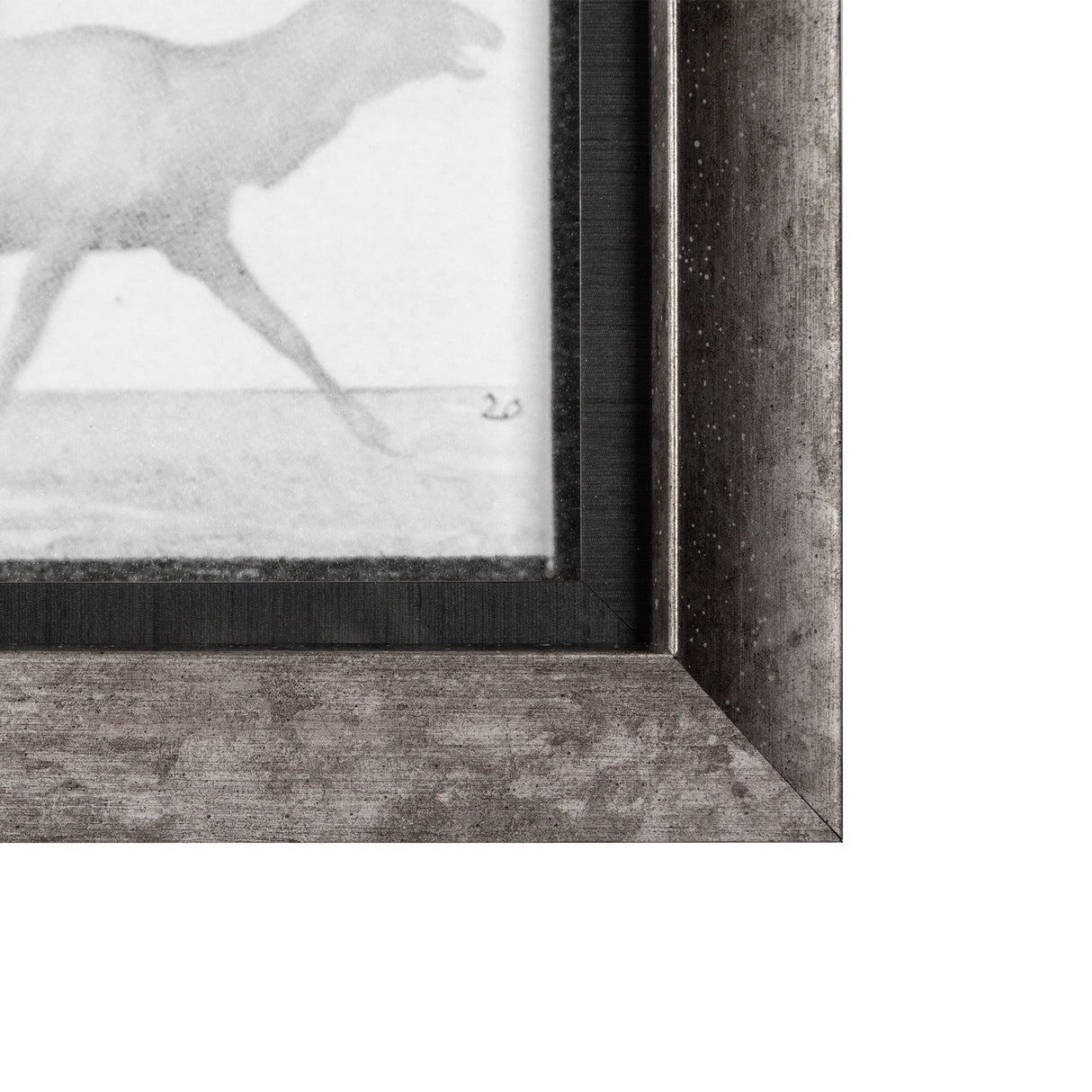 Elk Trotting by Eadweard Muybridge a Hand Embellished Textured Framed Art Print Matted under Glass from Mercana - Luna Furniture