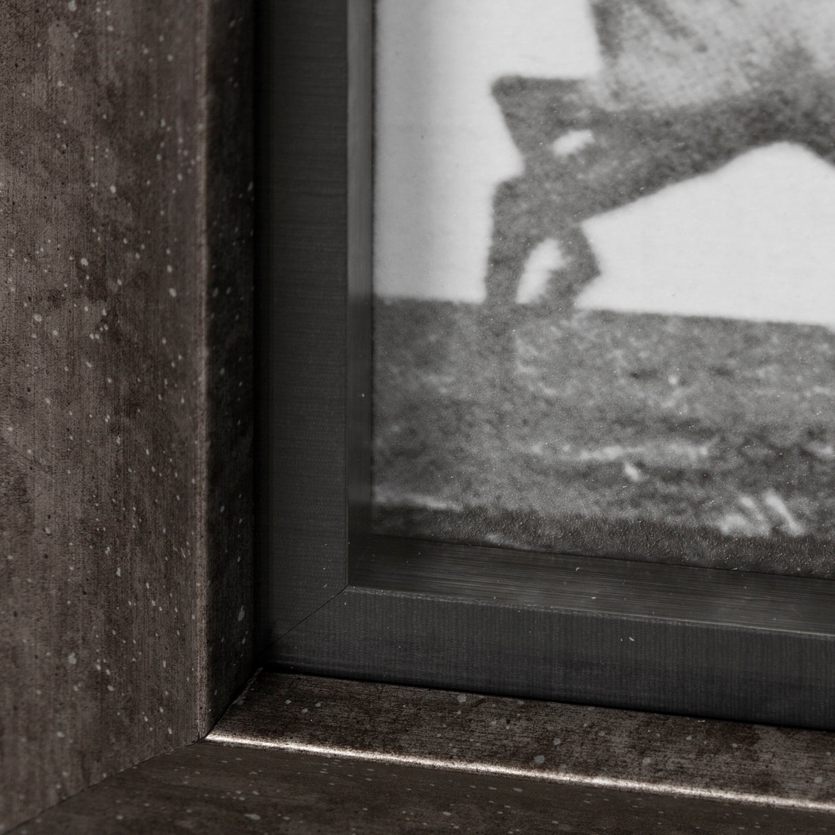 Elk Trotting by Eadweard Muybridge a Hand Embellished Textured Framed Art Print Matted under Glass from Mercana - Luna Furniture