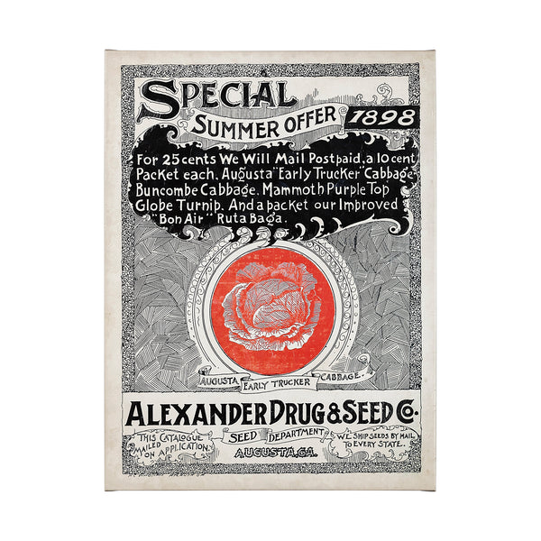 Antique Seed Packet XIIII by Mercana Studio a Hand Embellished Textured Canvas