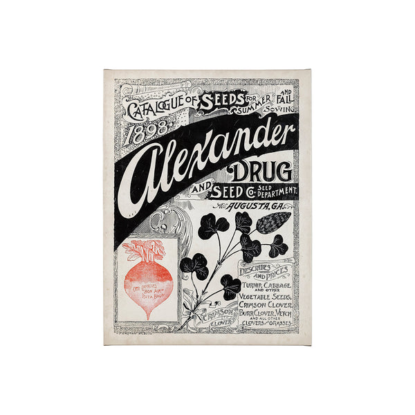 Antique Seed Packet XIV by Mercana Studio a Hand Embellished Textured Canvas