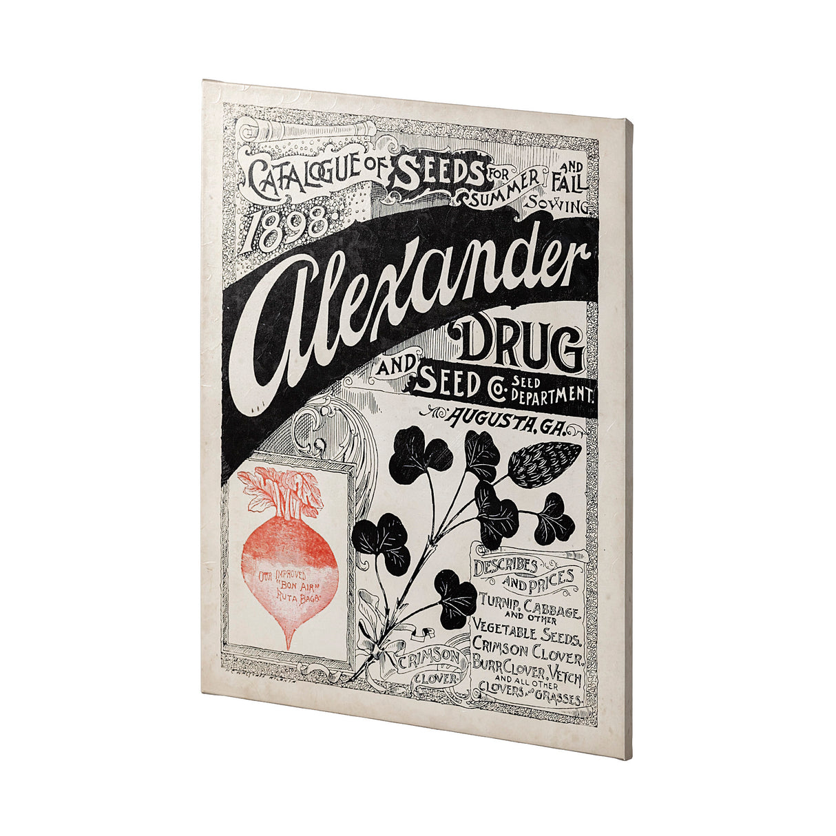 Antique Seed Packet XIV by Mercana Studio a Hand Embellished Textured Canvas from Mercana - Luna Furniture