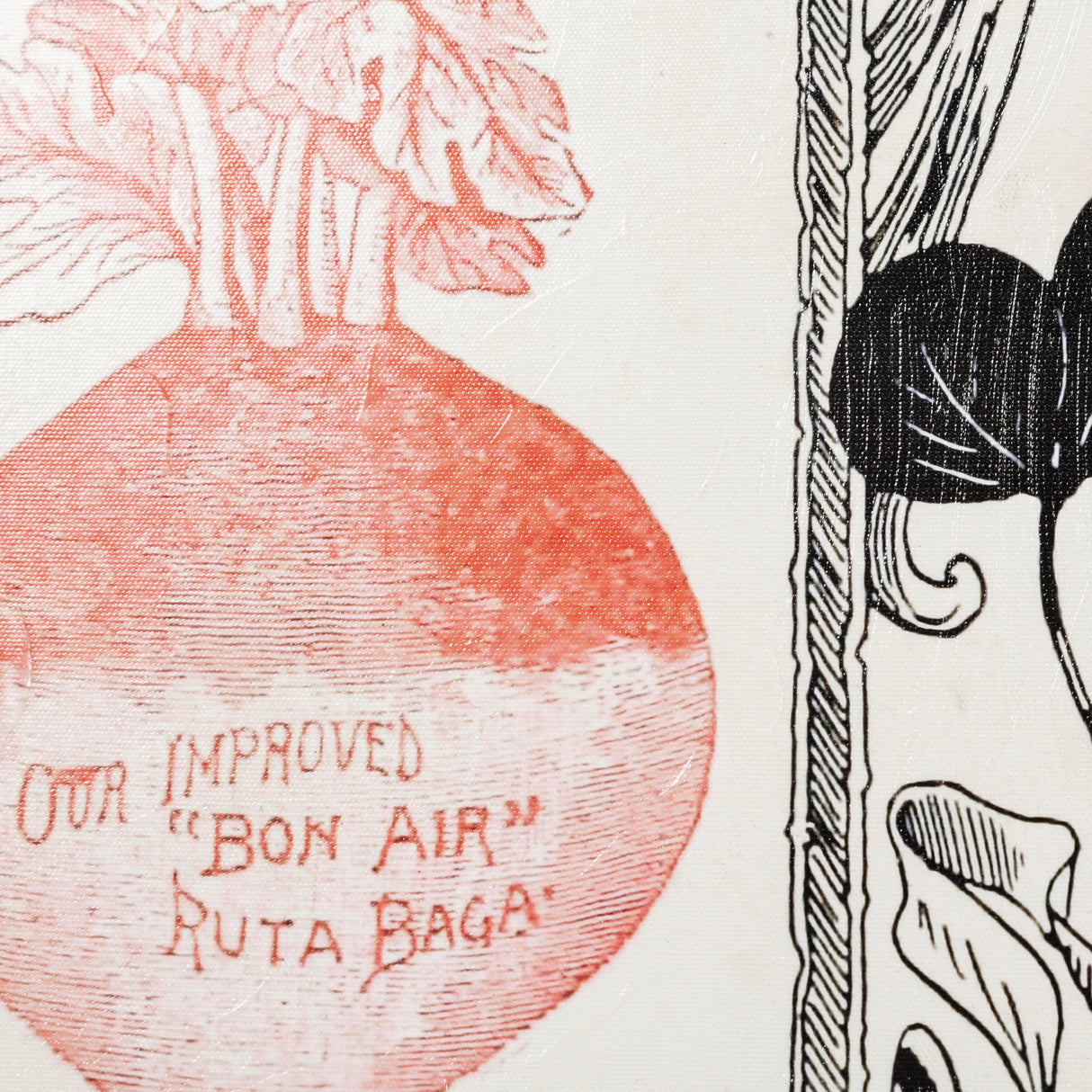 Antique Seed Packet XIV by Mercana Studio a Hand Embellished Textured Canvas from Mercana - Luna Furniture