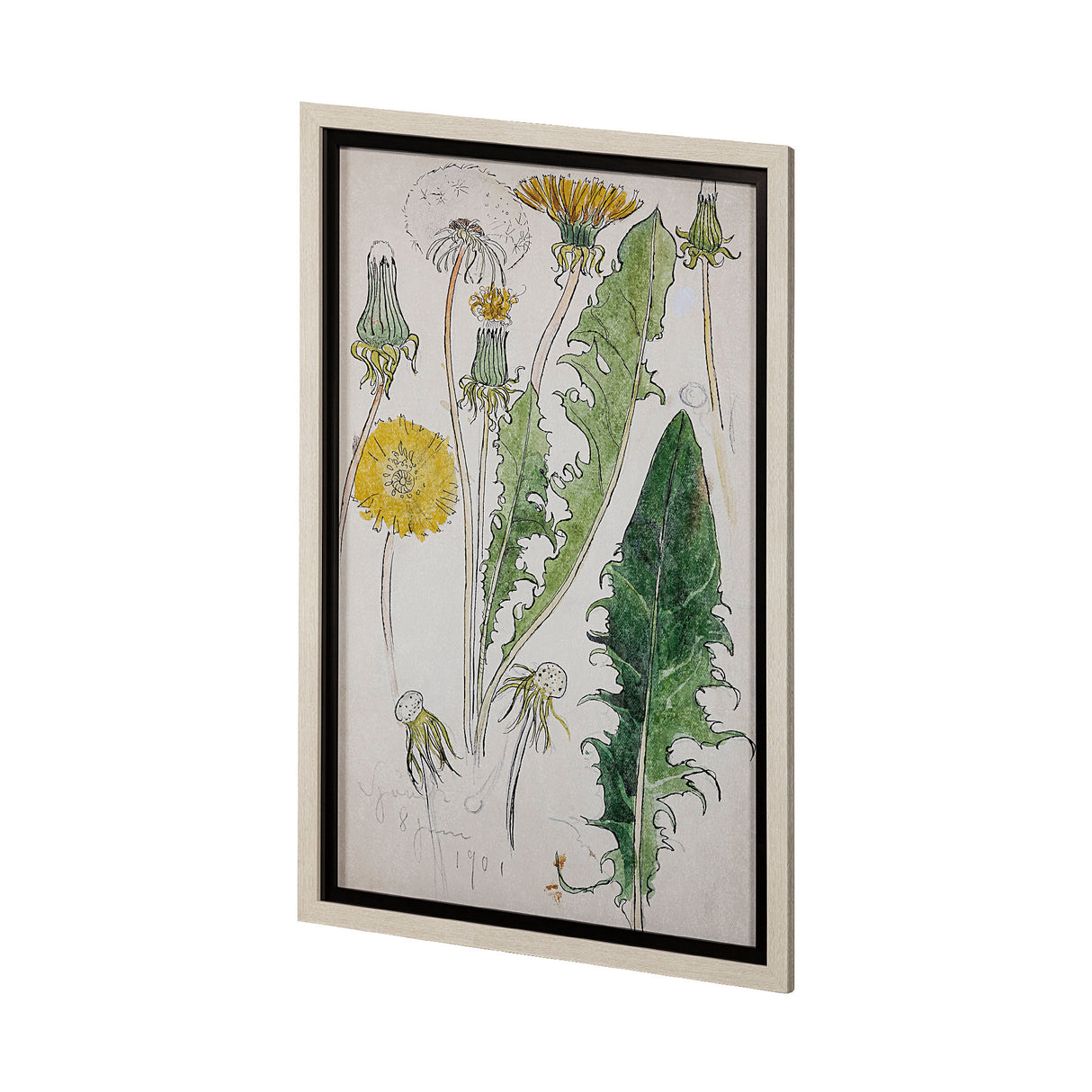Maskros Akvarellmalning by John Bauer Hand Embellished Textured Framed Art Print Matted under Glass from Mercana - Luna Furniture