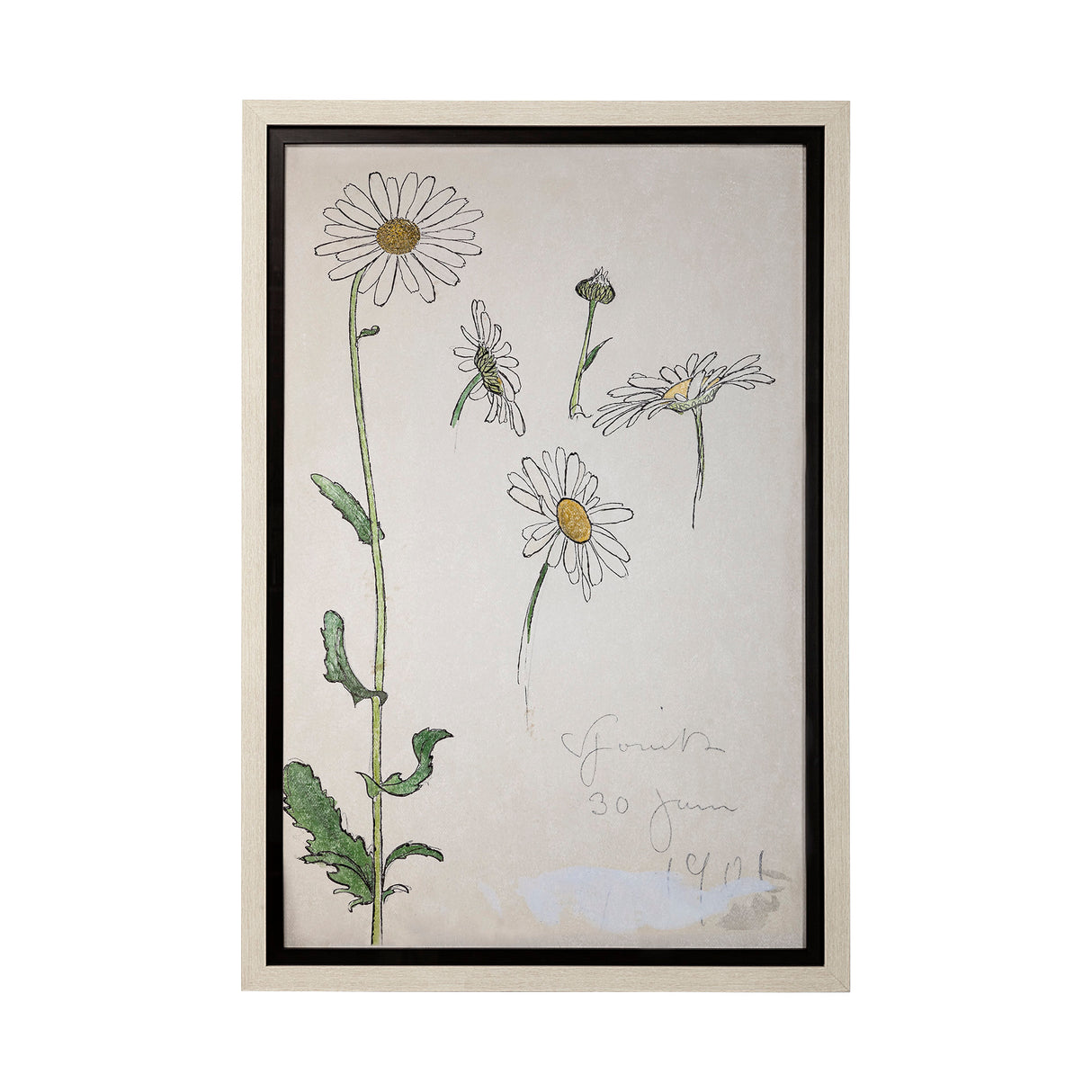 Blom Ritning by John Bauer a Hand Embellished Textured Framed Art Print Matted under Glass from Mercana - Luna Furniture