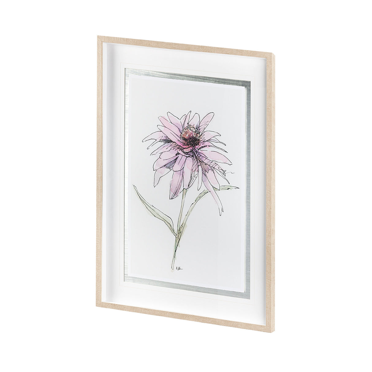 Echinacea I by Panpan Zhang a Framed Art Print Matted under Glass from Mercana - Luna Furniture