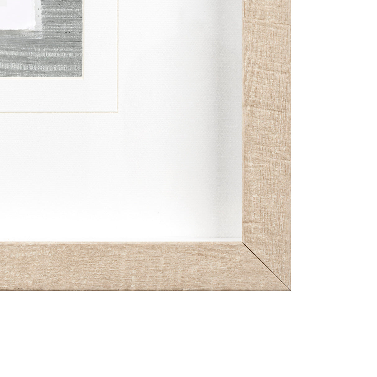 Echinacea II by Panpan Zhang a Framed Art Print Matted under Glass from Mercana - Luna Furniture
