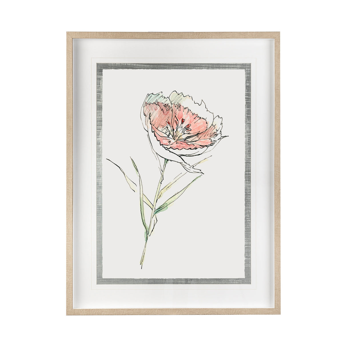 Dianthus II by Panpan Zhang a Framed Art Print Matted under Glass from Mercana - Luna Furniture