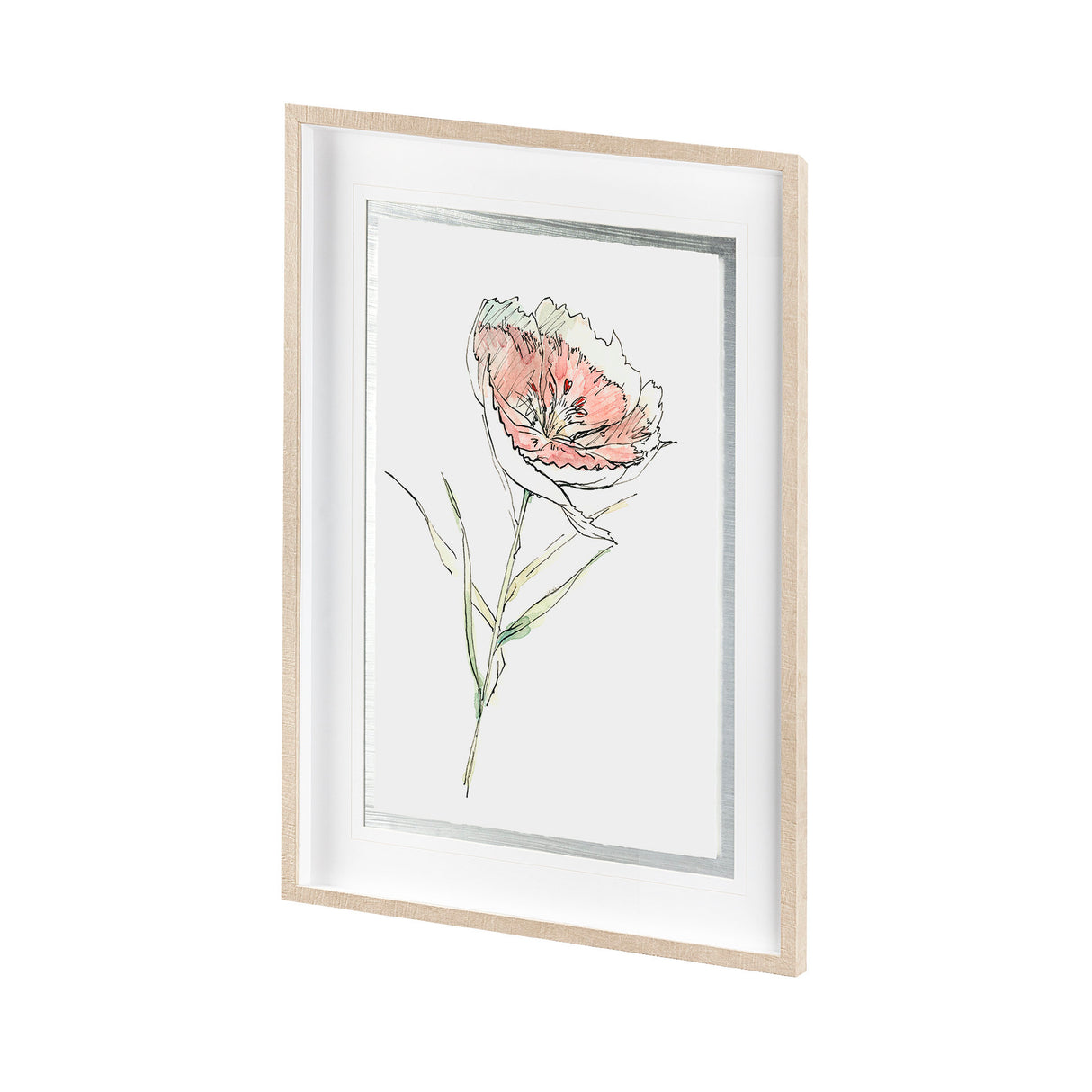 Dianthus II by Panpan Zhang a Framed Art Print Matted under Glass from Mercana - Luna Furniture