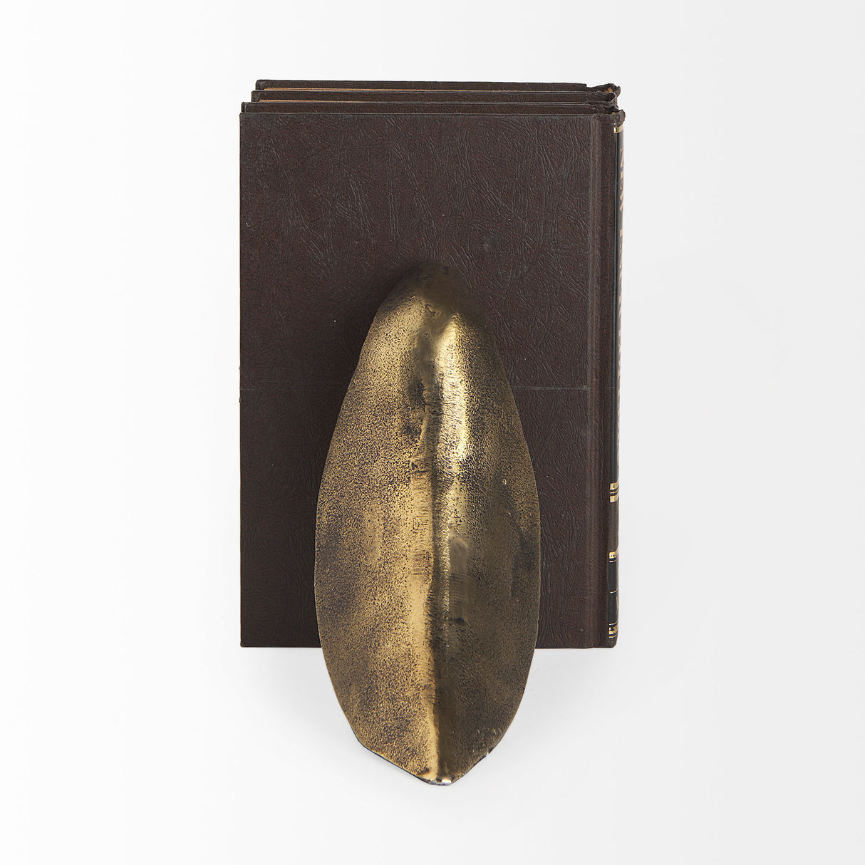 Dover (Set of 2) 15L x 4W Gold Aluminum Dove Bookends from Mercana - Luna Furniture