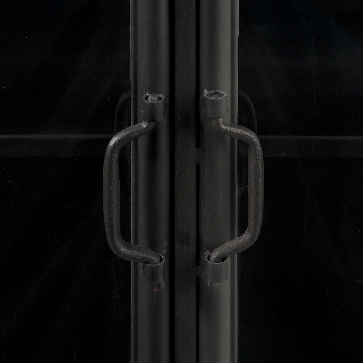 Poppy III 40L x 16W Black Metal With Glass Door Accent Cabinet from Mercana - Luna Furniture