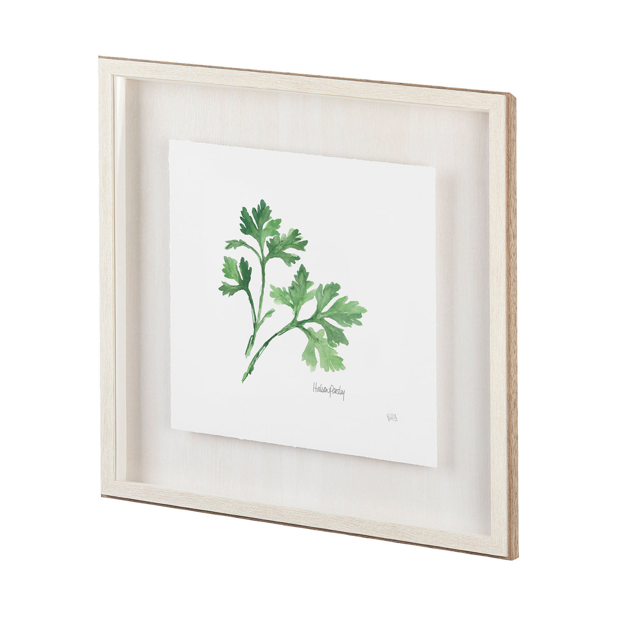 Italian Parsley v2 by Chris Paschke a Framed Art Print Matted under Glass from Mercana - Luna Furniture