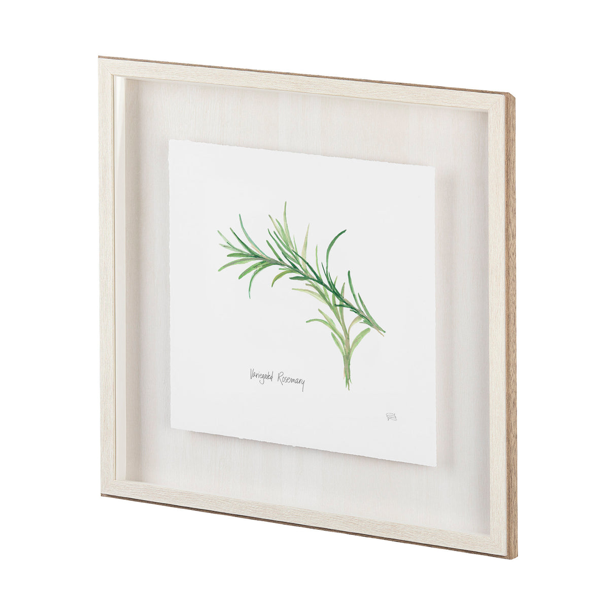 Tarragon v2 by Chris Paschke a Framed Art Print Matted under Glass from Mercana - Luna Furniture