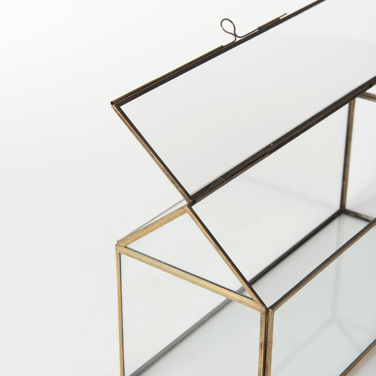 Hutt 16L x 6W x 9H Gold Glass Terrarium Box from Mercana - Luna Furniture