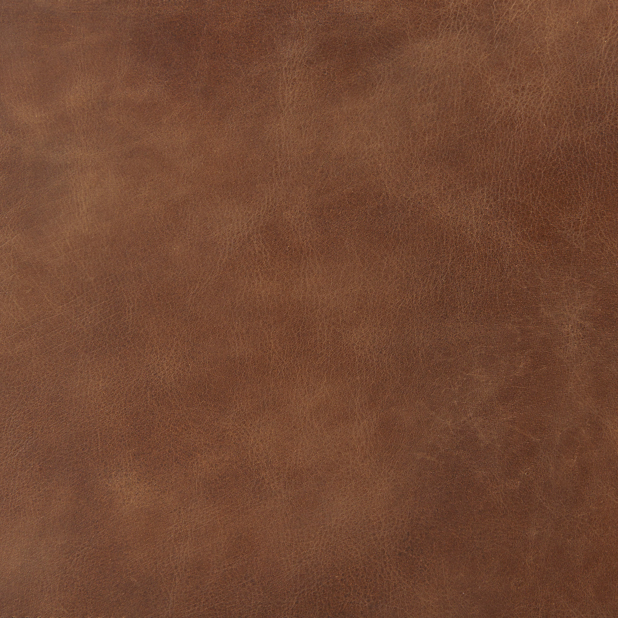 Berbick 43" Total Height Medium Brown Leather w/ Iron Frame Bar Stool from Mercana - Luna Furniture