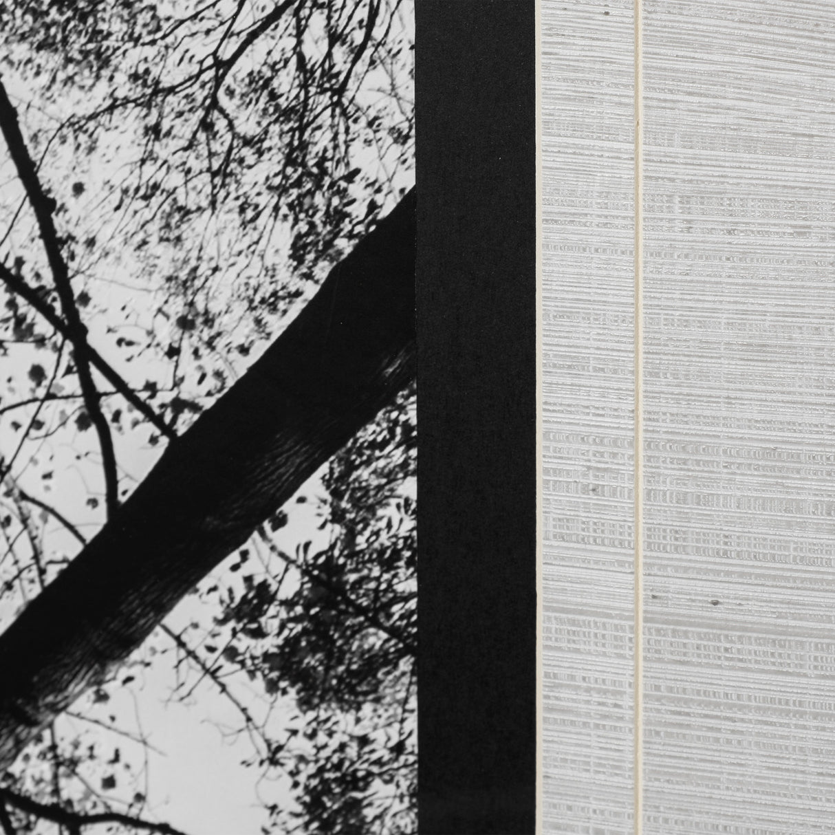 Looking Up I BW by Mercana Studio a Hand Embellished Textured Framed Photo Art Print Matted under Gl from Mercana - Luna Furniture