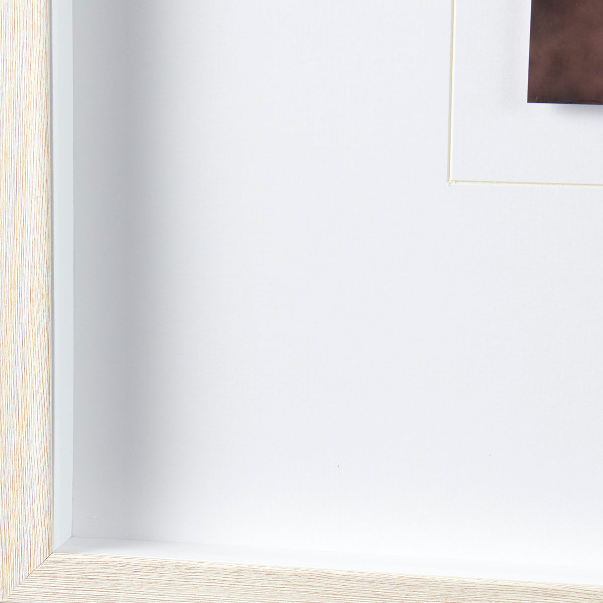 Wild Mane by Mercana Studio a Framed Photo Art Print Matted under Glass from Mercana - Luna Furniture