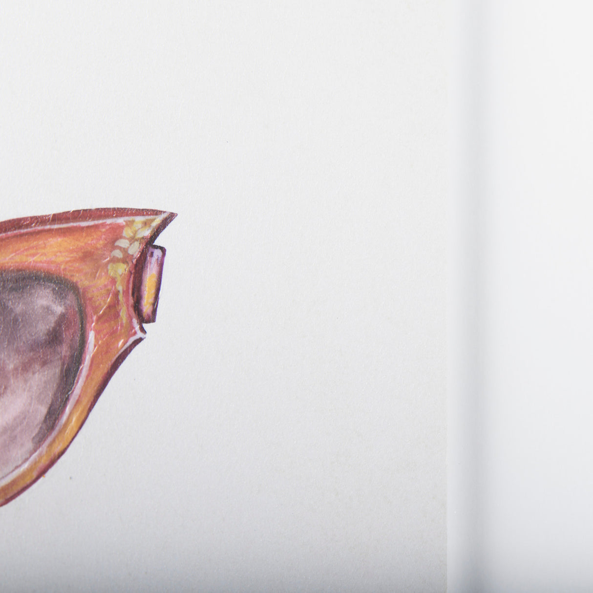 Sunglass Collection II by Mercana Studio Hand Embellished Framed Art Print Matted under Glass from Mercana - Luna Furniture