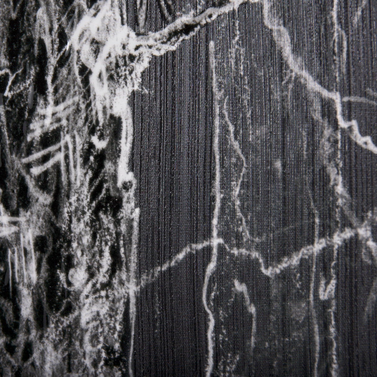 Forest BW II by Ariana a Hand Embellished Textured Canvas from Mercana - Luna Furniture