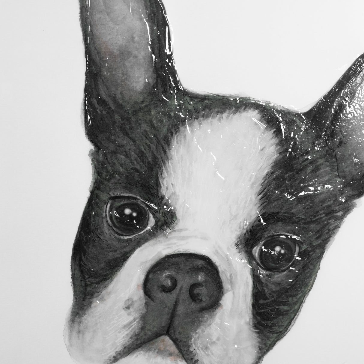 Floyd (Boston Terrier 1) by Mercana Studio Hand Embellished Framed Art Print Matted under Glass from Mercana - Luna Furniture