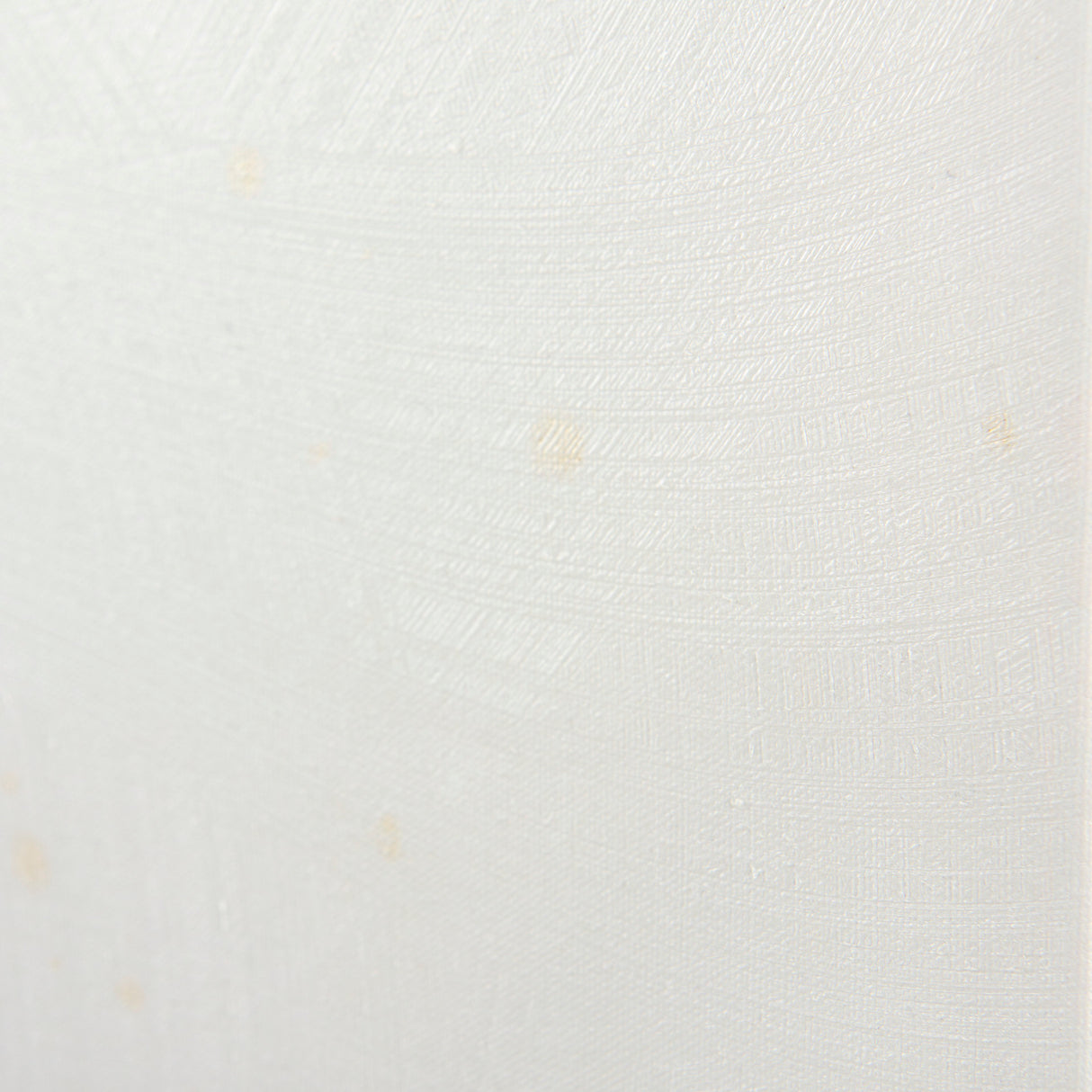 Echinacea I by Mercana Studio a Hand Embellished Textured Canvas from Mercana - Luna Furniture