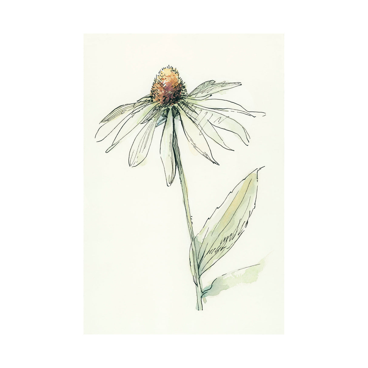Echinacea II by Mercana Studio a Hand Embellished Textured Canvas from Mercana - Luna Furniture