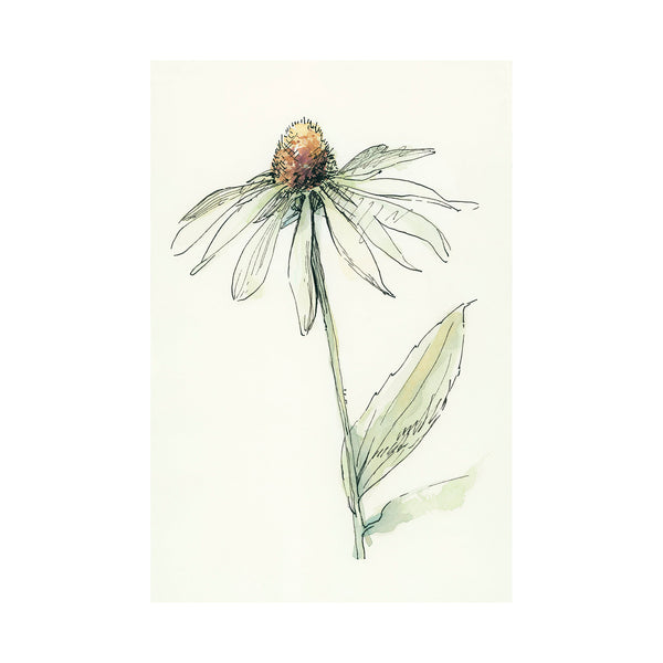 Echinacea II by Mercana Studio a Hand Embellished Textured Canvas