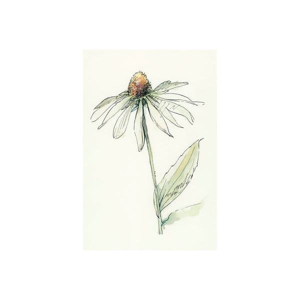 Echinacea II by Mercana Studio a Hand Embellished Textured Canvas