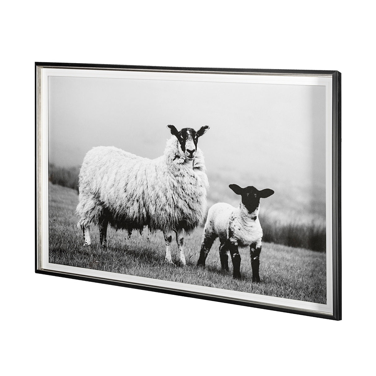Islay Sheep I by Laura Marshall a Framed Photo Art Print Matted under Glass from Mercana - Luna Furniture