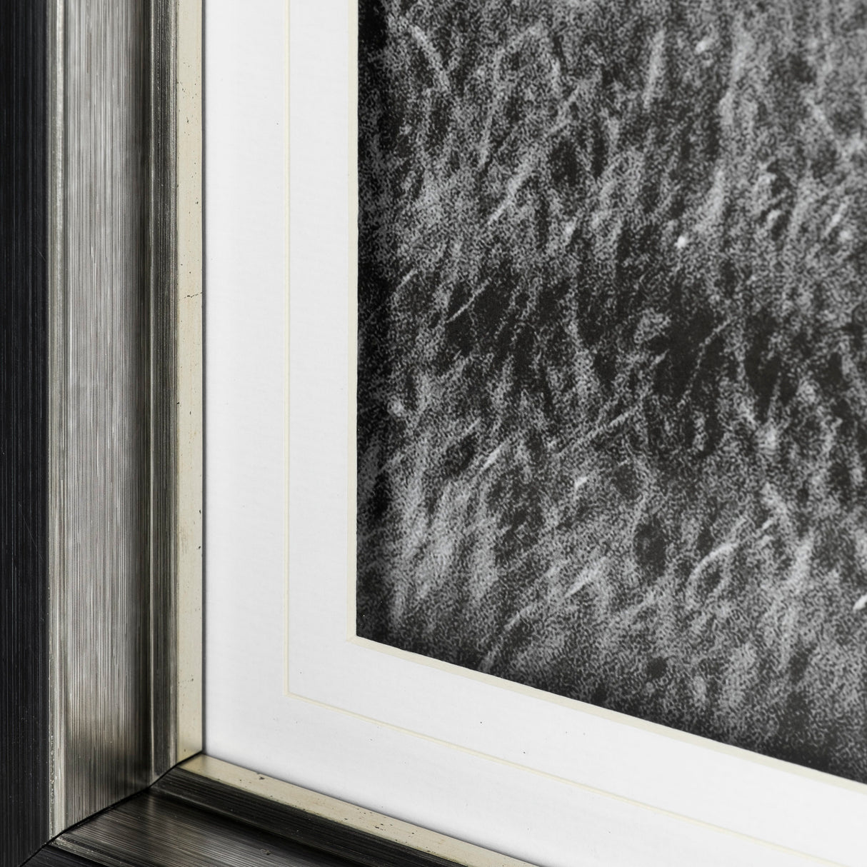 Islay Sheep I by Laura Marshall a Framed Photo Art Print Matted under Glass from Mercana - Luna Furniture