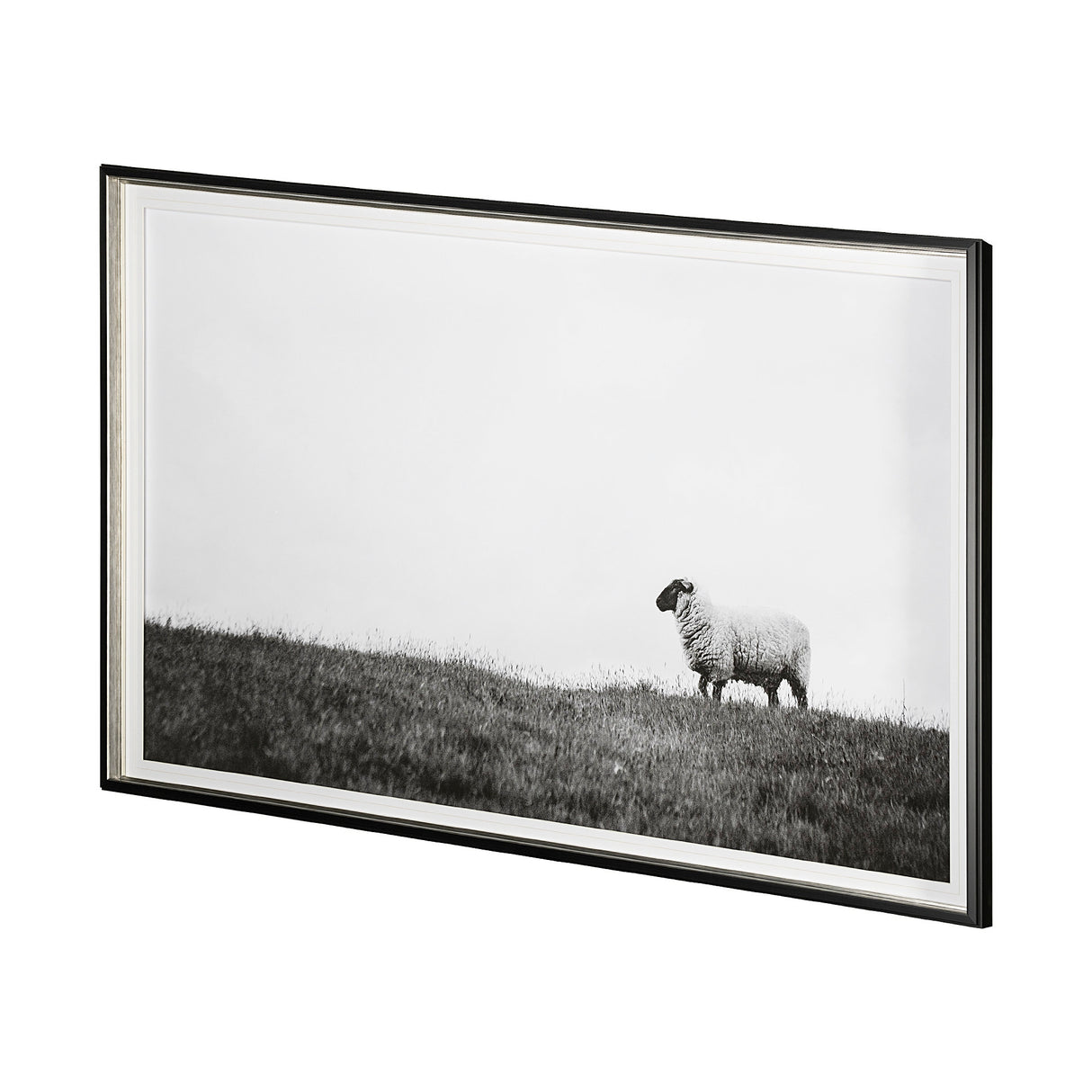 Islay Sheep II by Laura Marshall a Framed Photo Art Print Matted under Glass from Mercana - Luna Furniture
